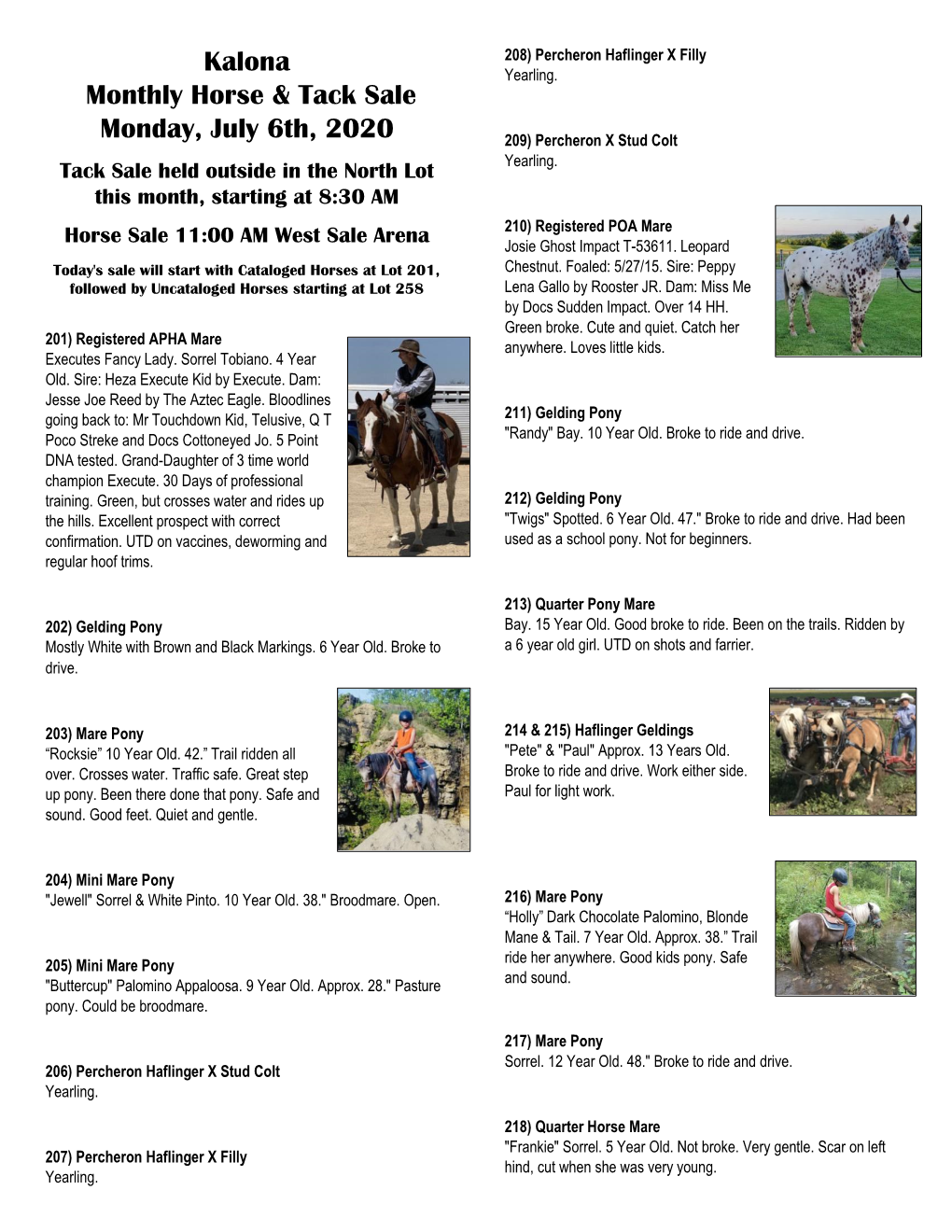 Kalona Monthly Horse & Tack Sale Monday, July 6Th, 2020