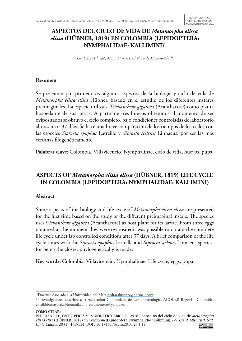 ASPECTOS DEL CICLO DE VIDA DE Metamorpha Elissa Elissa (HÜBNER, 1819) EN COLOMBIA (LEPIDOPTERA: NYMPHALIDAE: KALLIMINI)*