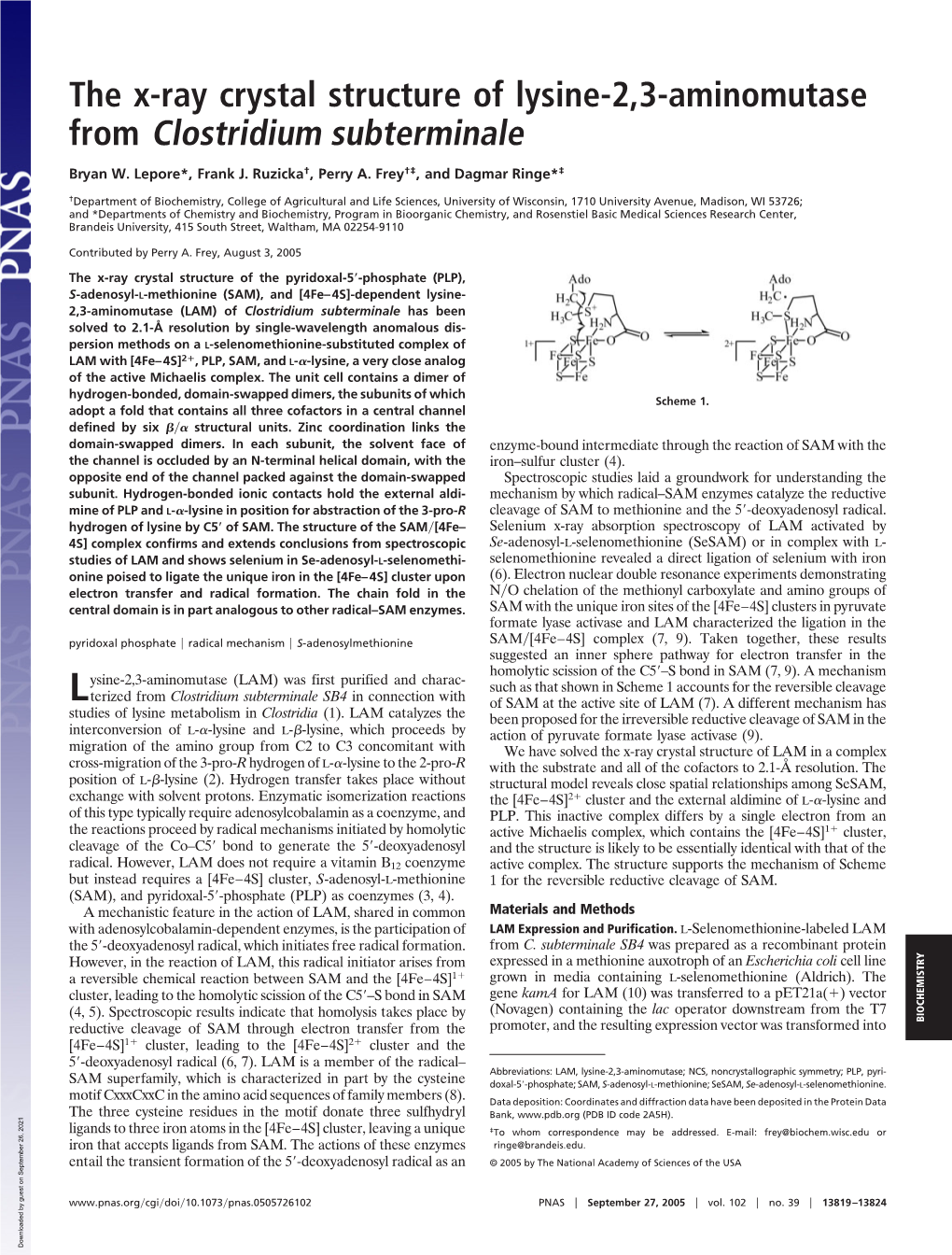 The X-Ray Crystal Structure of Lysine-2,3-Aminomutase from Clostridium Subterminale