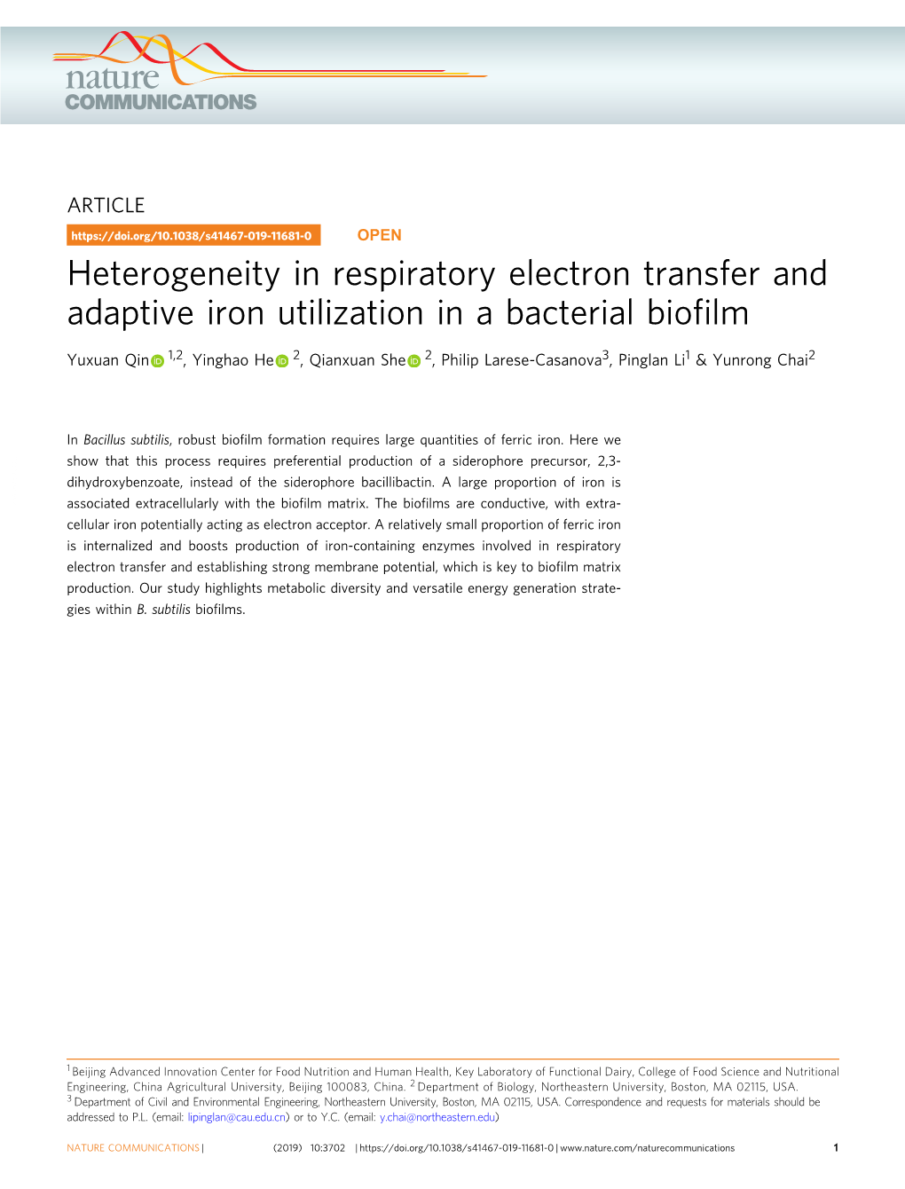 Heterogeneity in Respiratory Electron Transfer and Adaptive Iron Utilization in a Bacterial Bioﬁlm