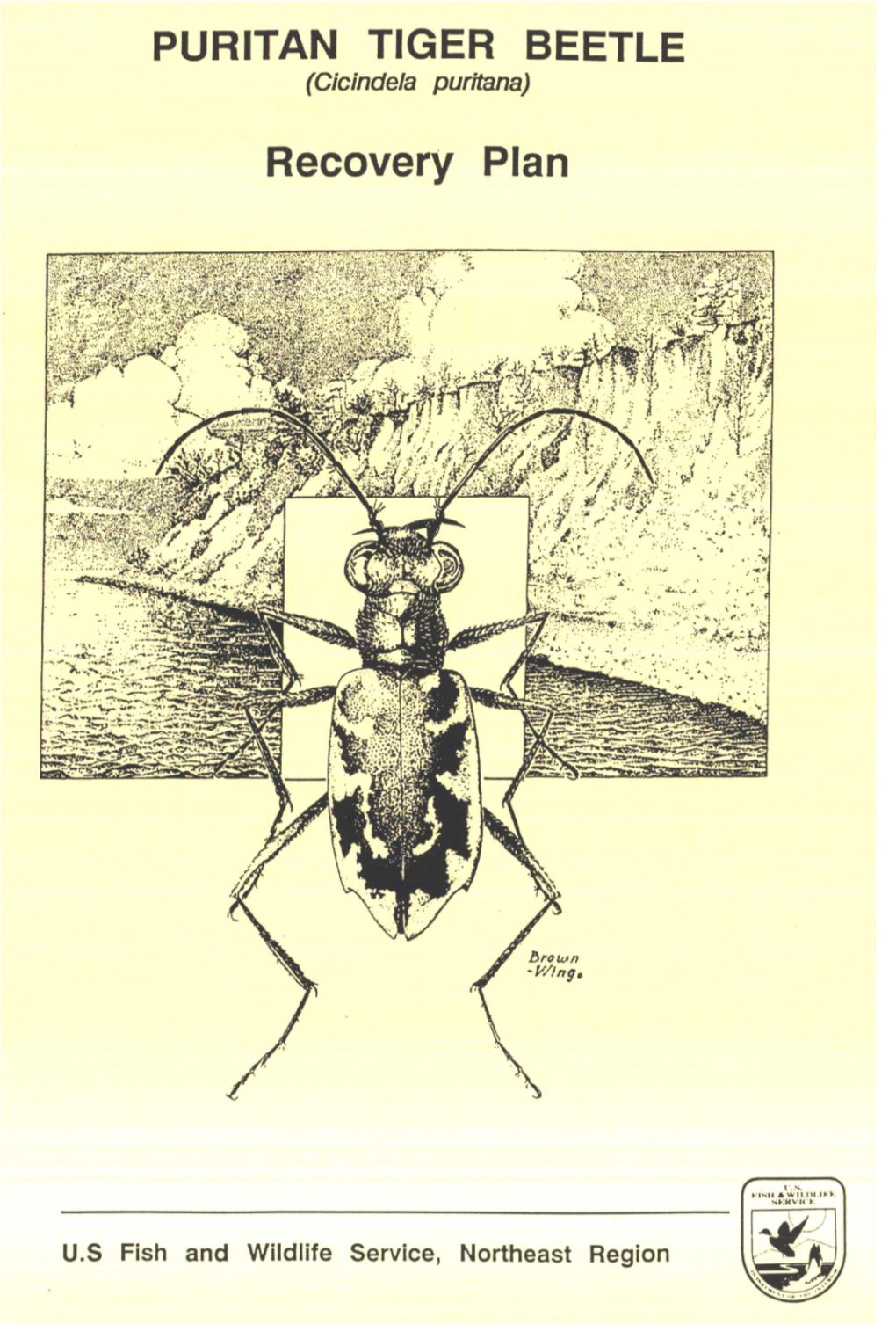 US FWS Puritan Tiger Beetle Recovery Plan, September 1993