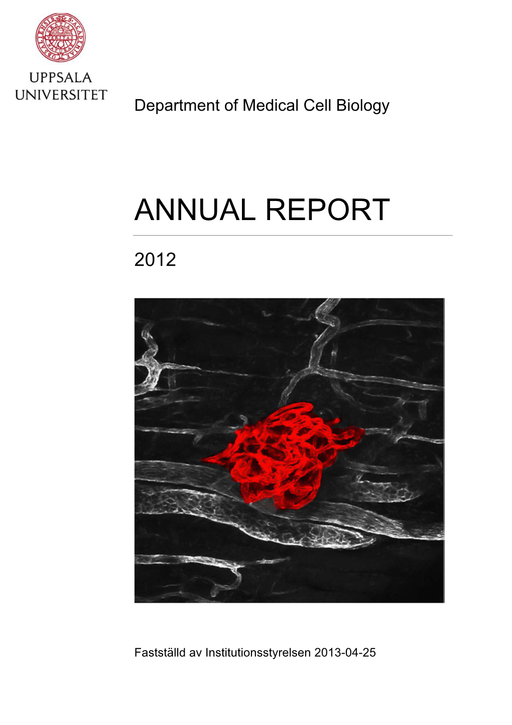 Annual Report 2012 Final