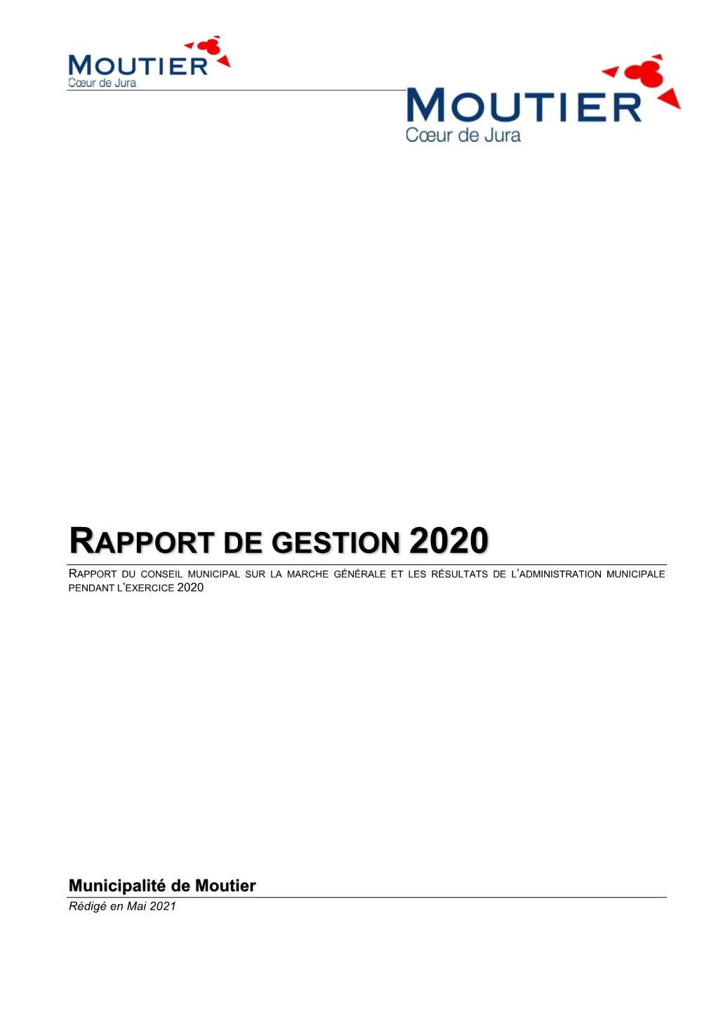 Rapport De Gestion 2020