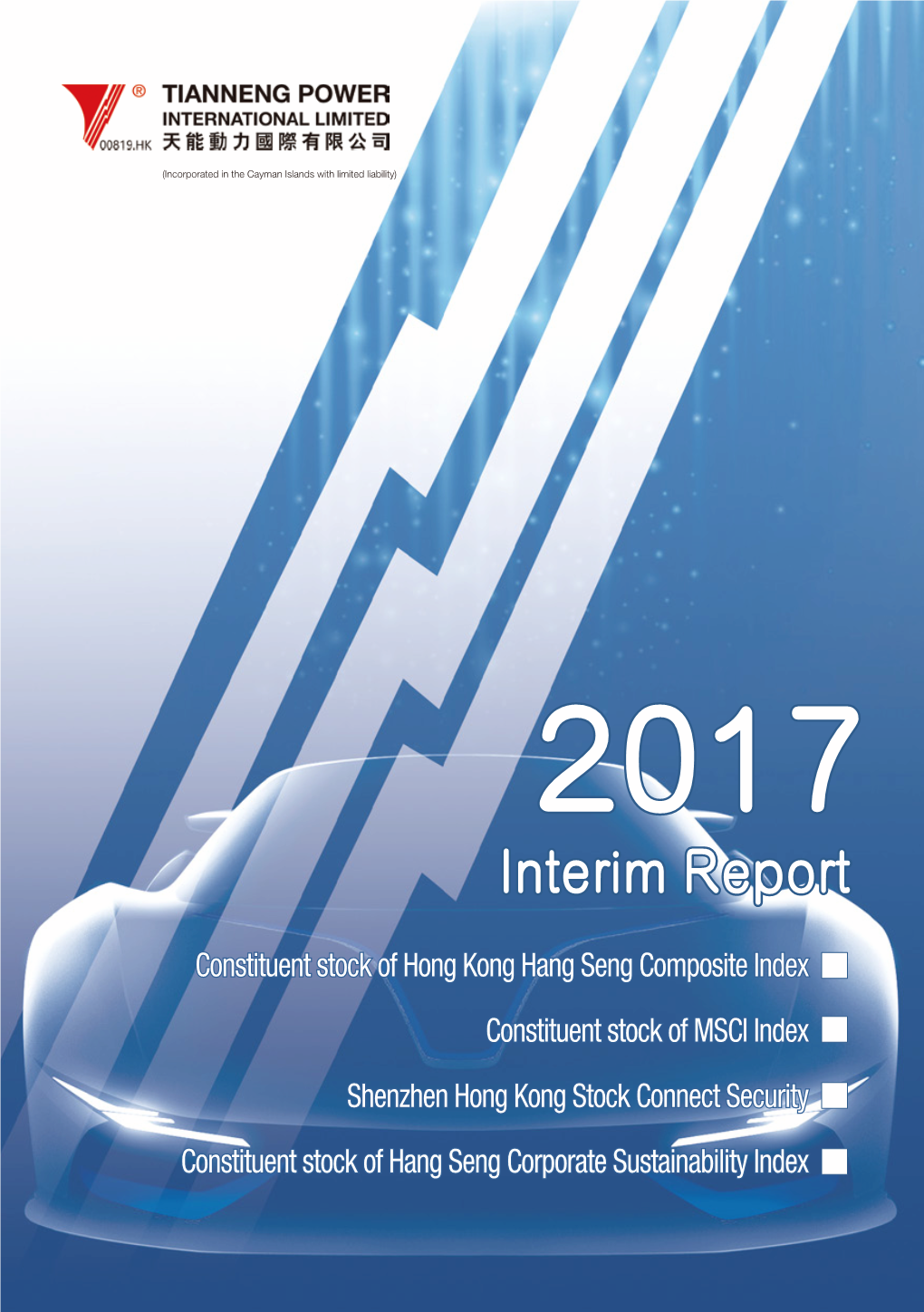 Interim Report