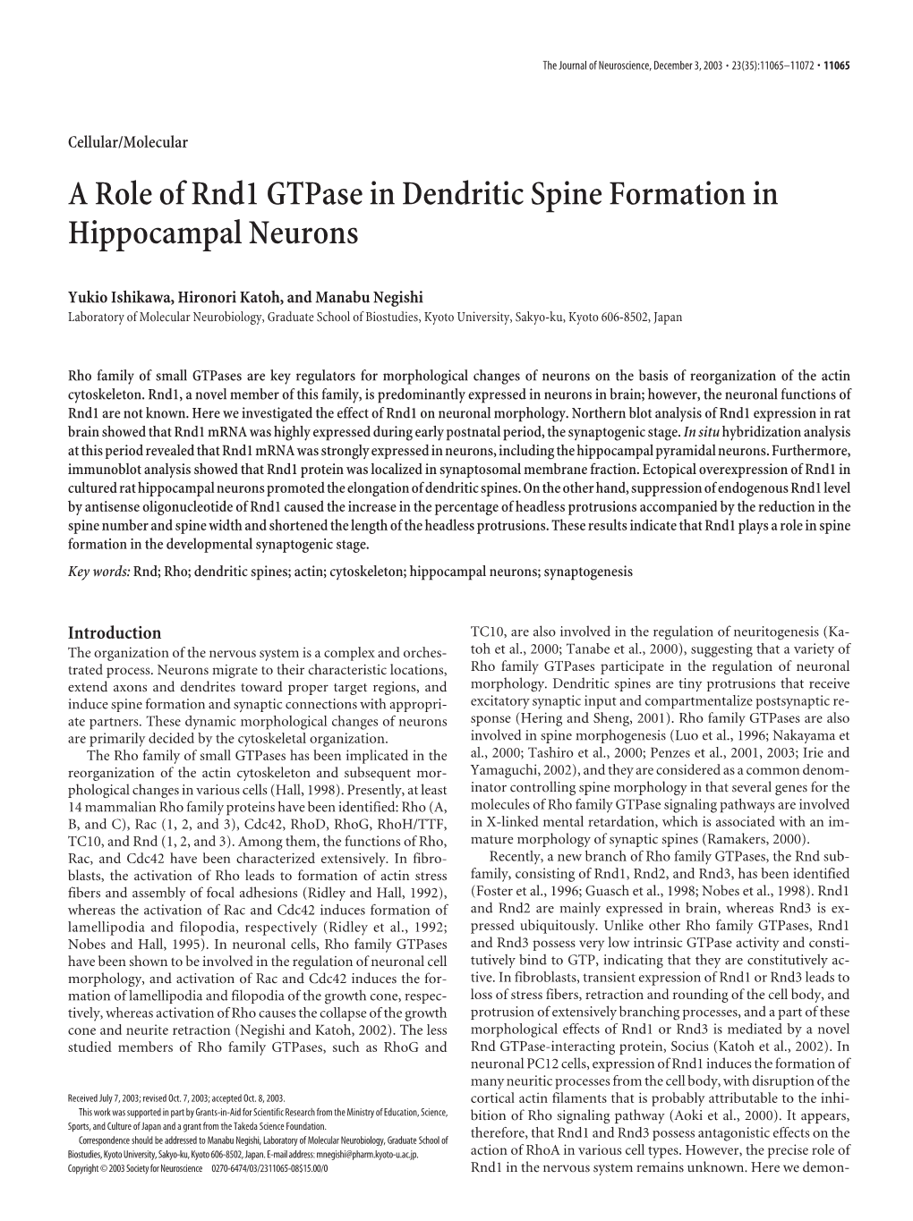 A Role of Rnd1 Gtpase in Dendritic Spine Formation in Hippocampal Neurons