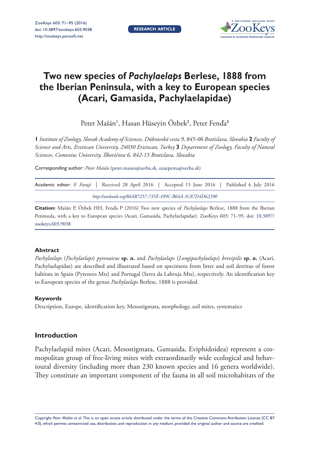 ﻿Two New Species of Pachylaelaps Berlese, 1888 from the Iberian