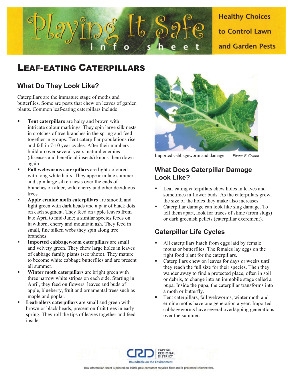 Leaf-Eating Caterpillars