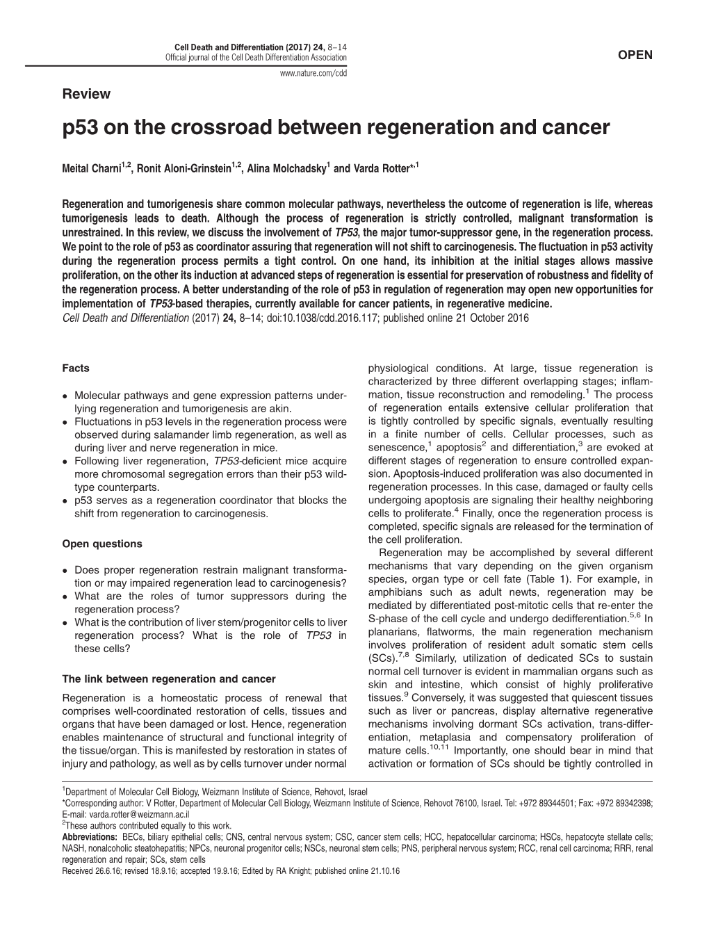 P53 on the Crossroad Between Regeneration and Cancer