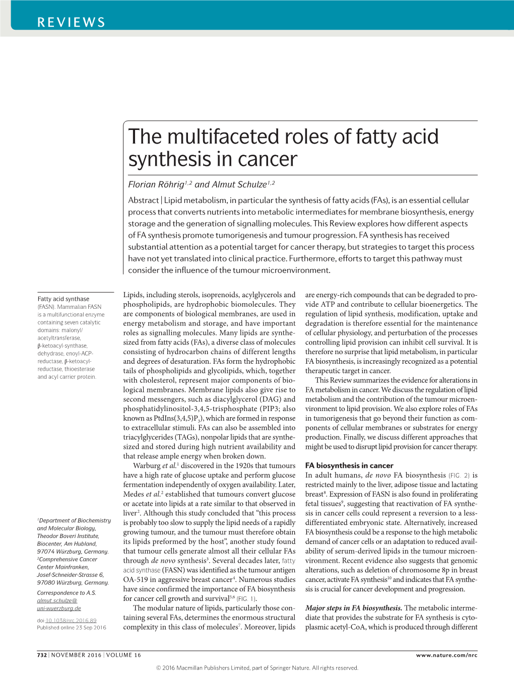 The Multifaceted Roles of Fatty Acid Synthesis in Cancer