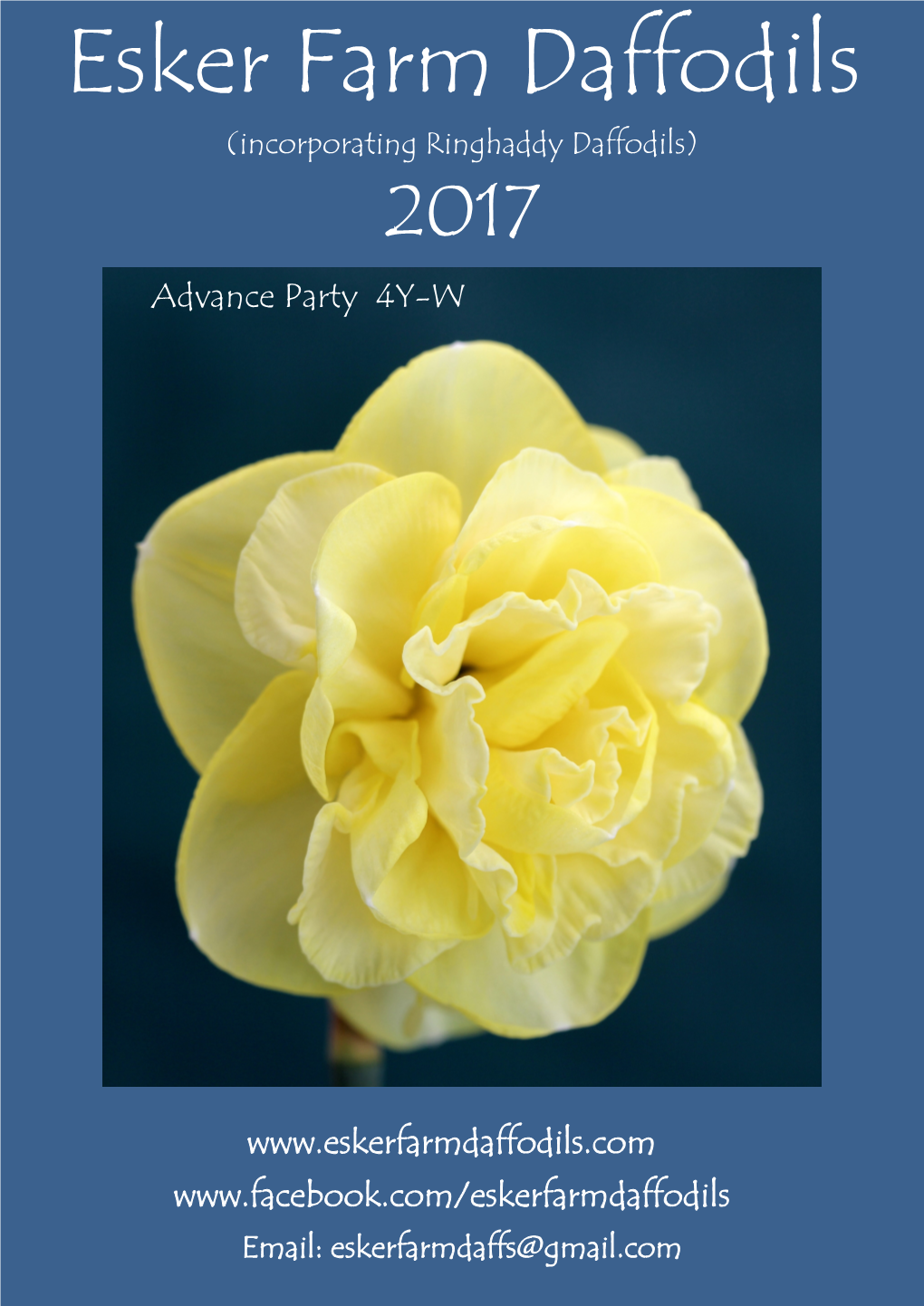 Esker Farm Daffodils (Incorporating Ringhaddy Daffodils) 2017 Advance Party 4Y-W