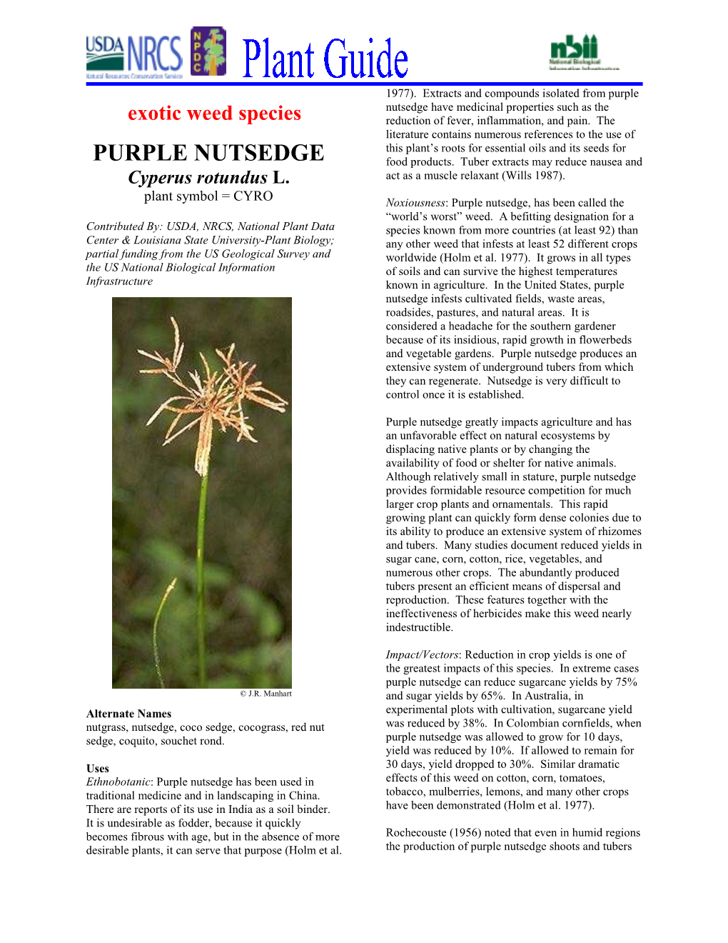 Purple Nutsedge Have Medicinal Properties Such As the Exotic Weed Species Reduction of Fever, Inflammation, and Pain