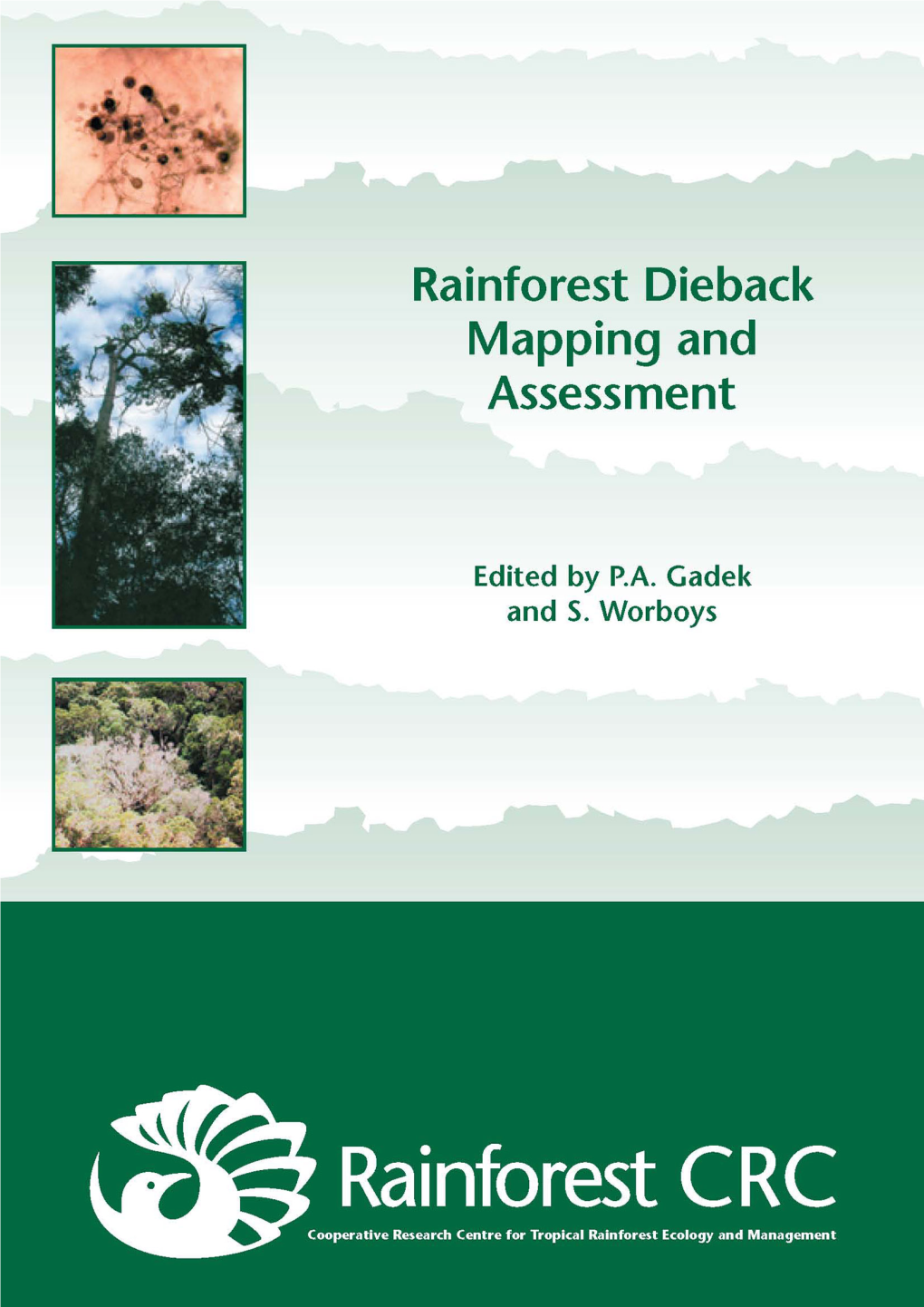 Phytophthora Species Diversity and Impacts of Dieback on Rainforest Canopies