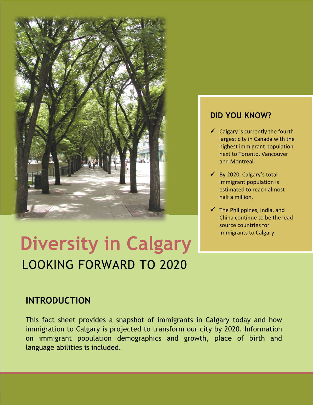 Diversity in Calgary, Looking Forward to 2020