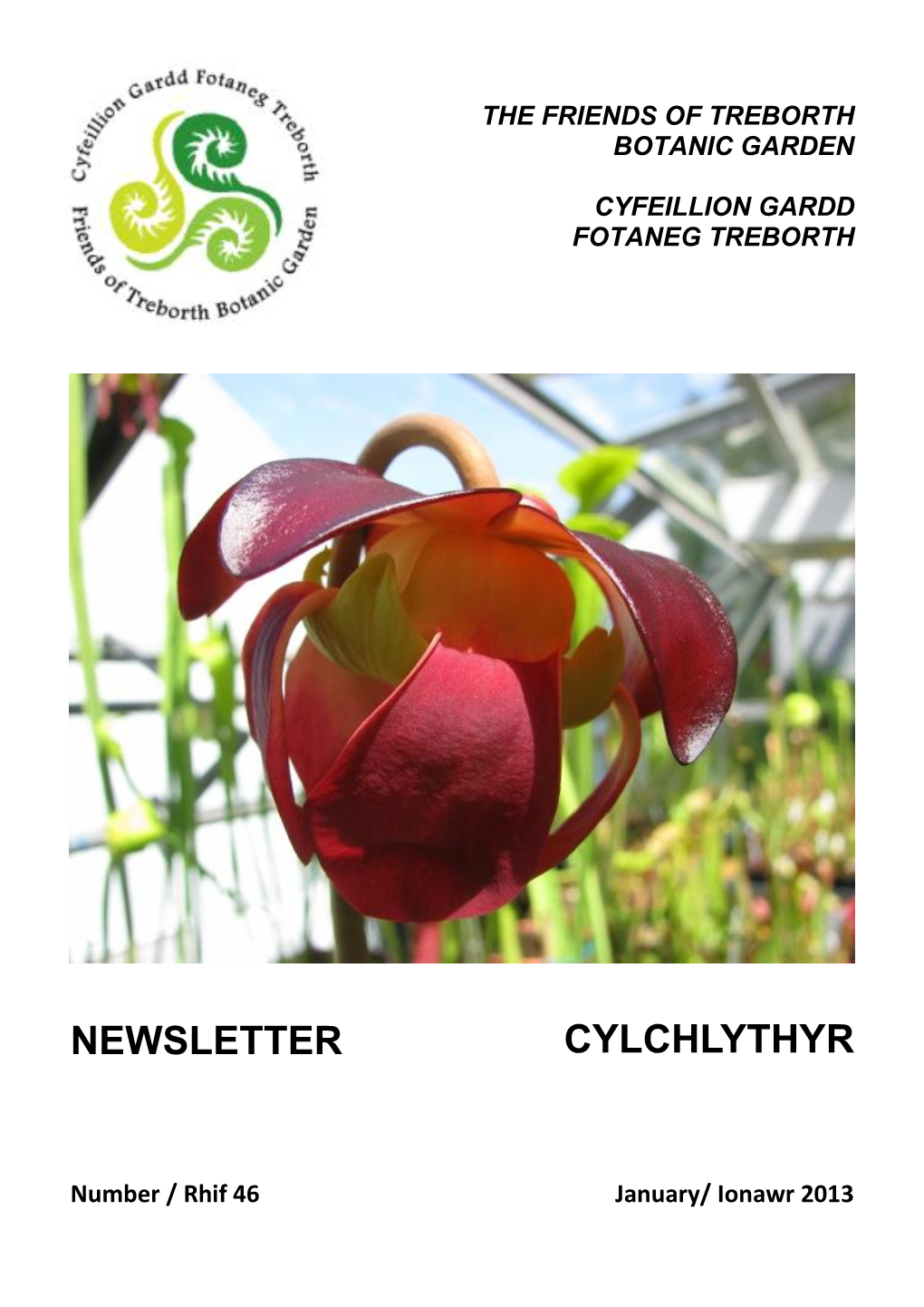 Newsletter Cylchlythyr