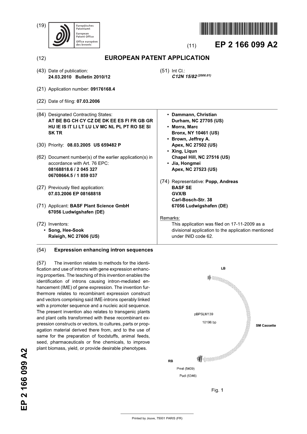 Expression Enhancing Intron Sequences