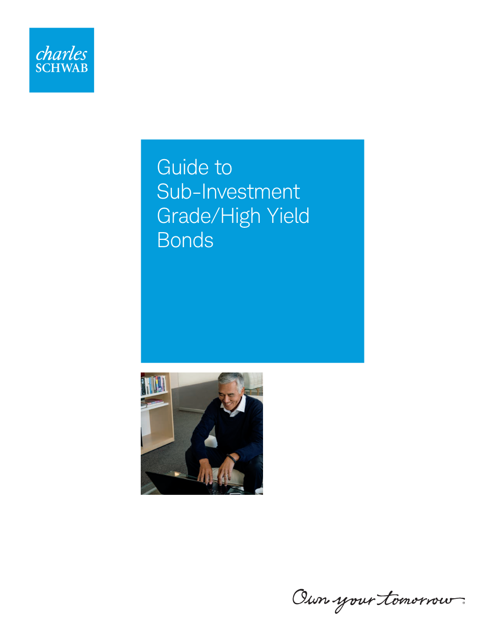 Guide to Sub-Investment Grade/High Yield Bonds