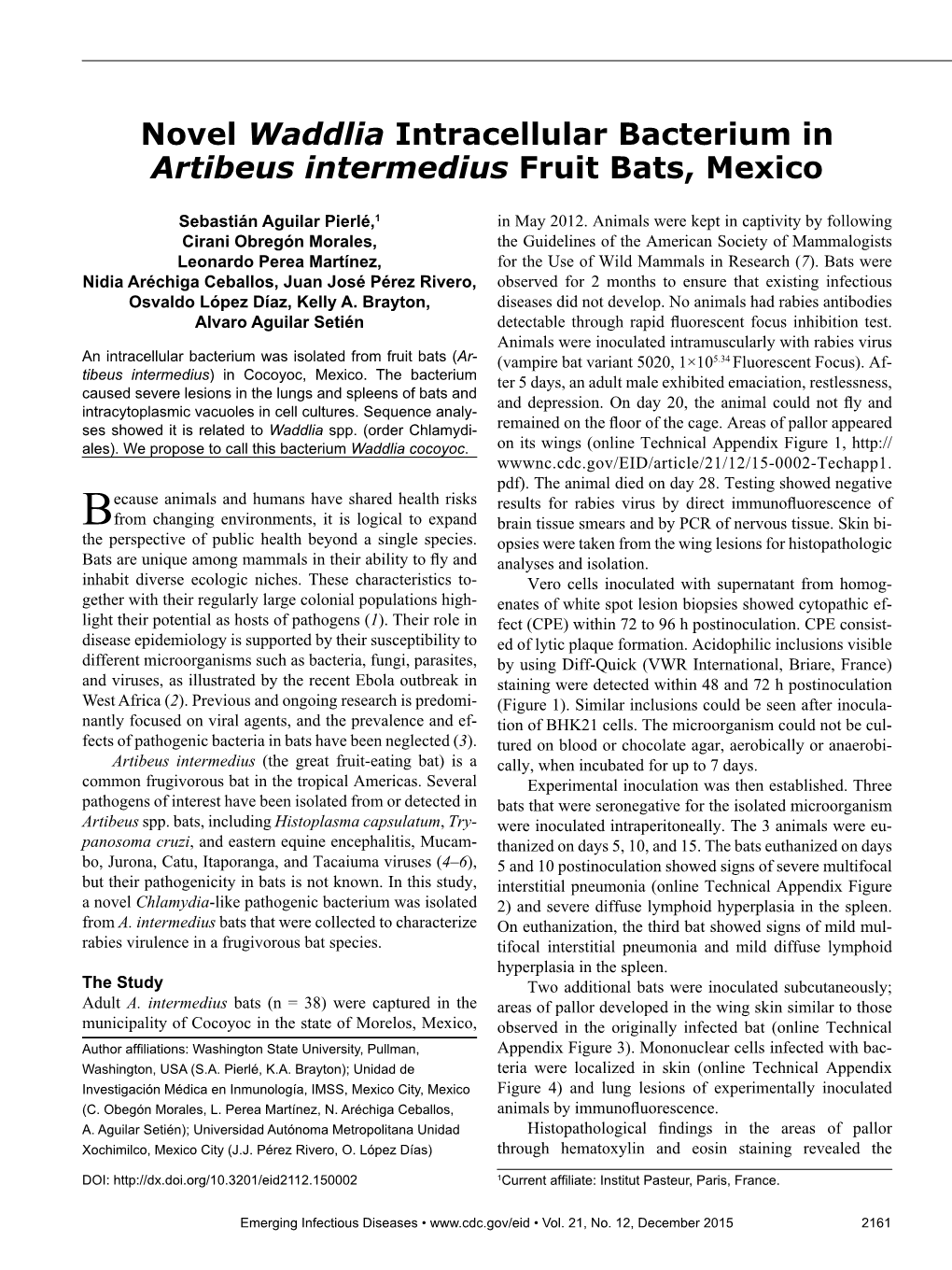 Novel Waddlia Intracellular Bacterium in Artibeus Intermedius Fruit Bats, Mexico