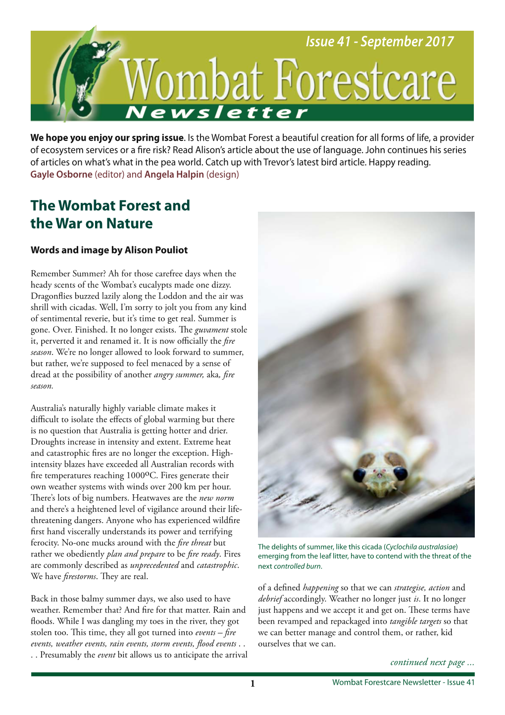 Forestcare Newsletter