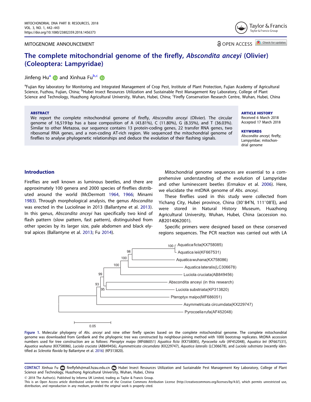 The Complete Mitochondrial Genome of the Firefly, Abscondita Anceyi (Olivier) (Coleoptera: Lampyridae)