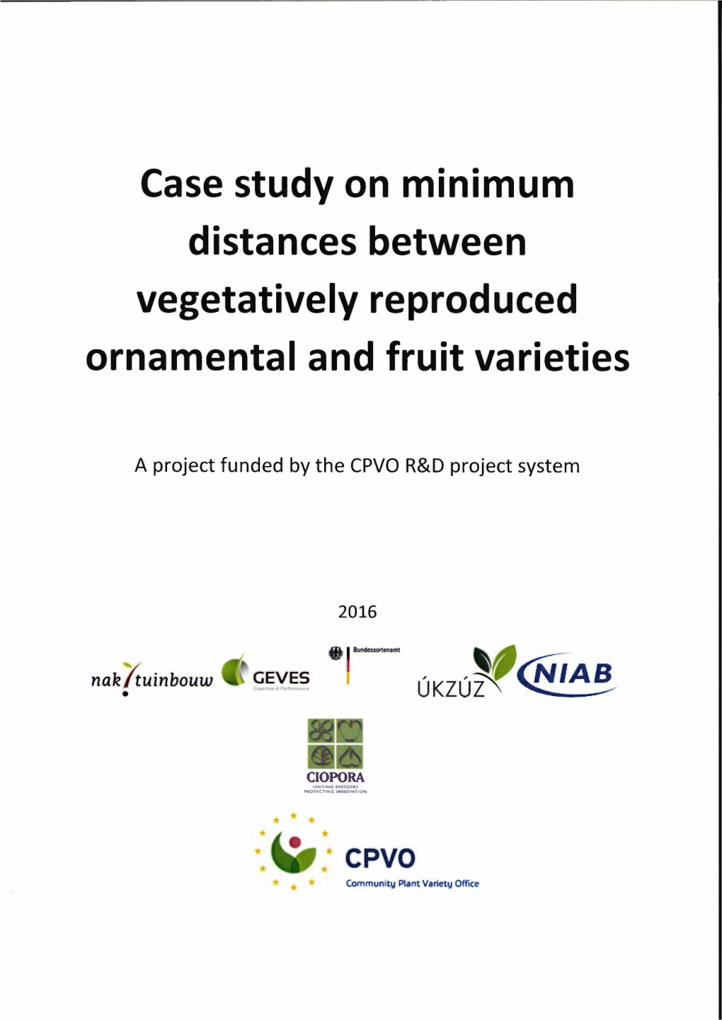 Case Stud on Minimum