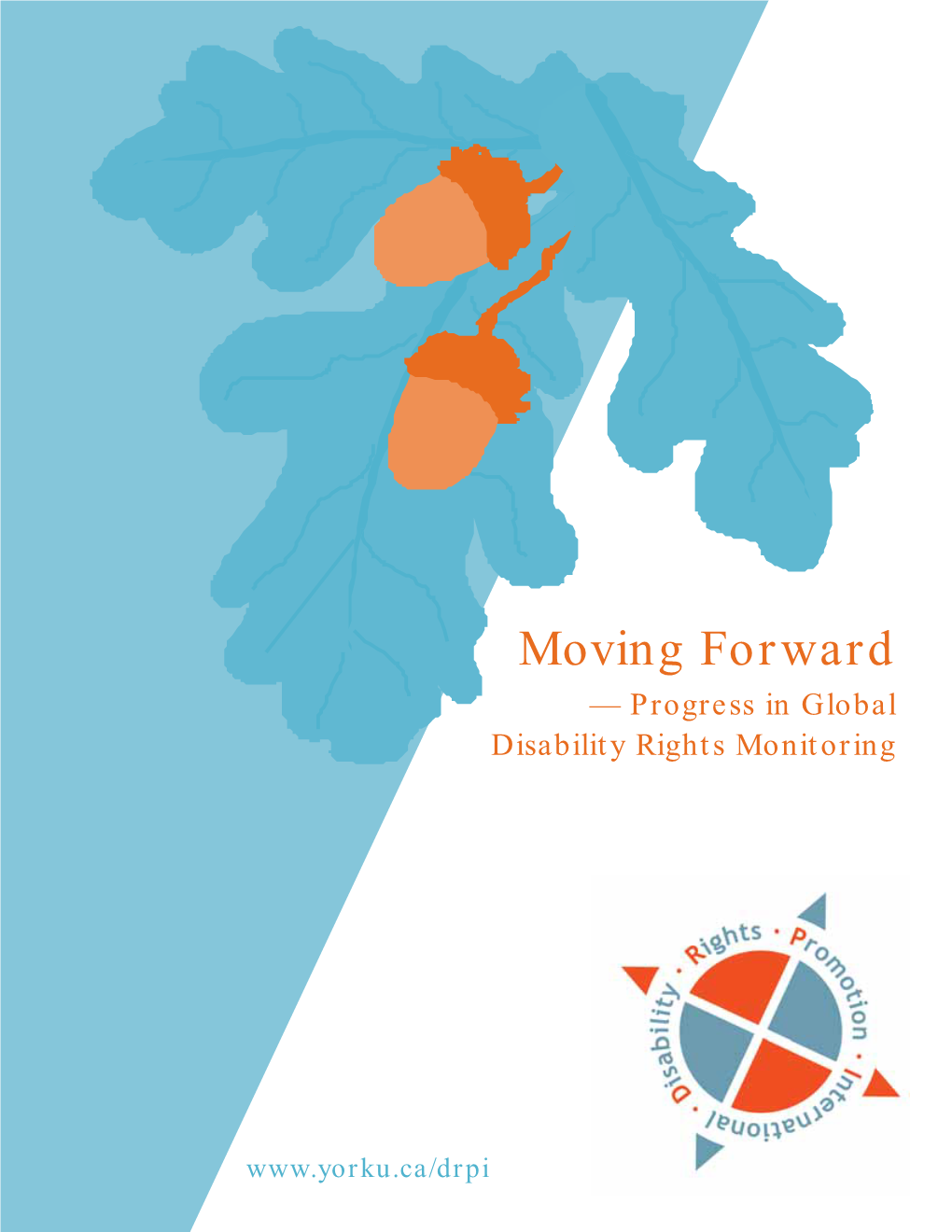 Moving Forward — Progress in Global Disability Rights Monitoring