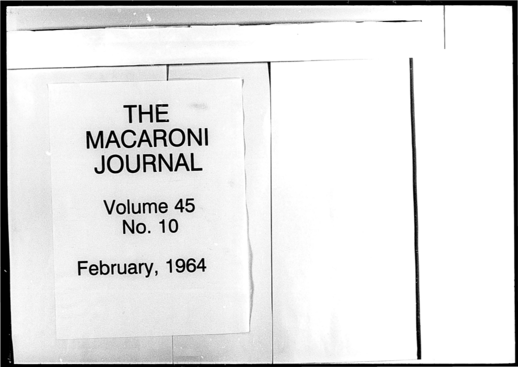 Macaroni Journal I , , ,,, \ \/