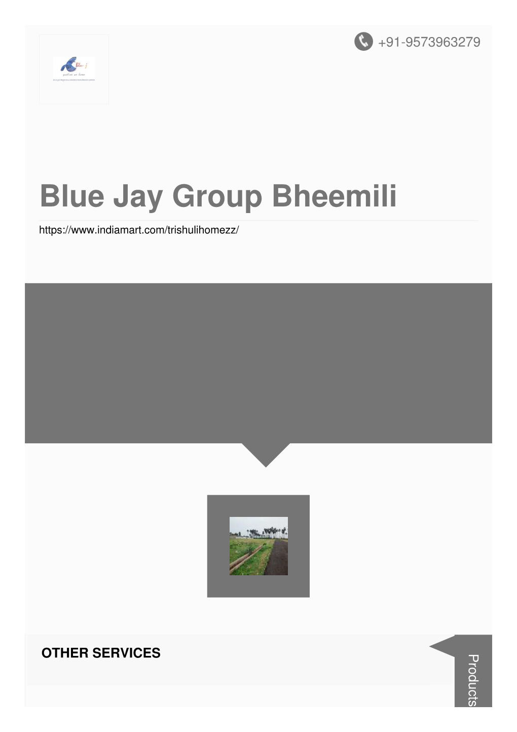 Blue Jay Group Bheemili