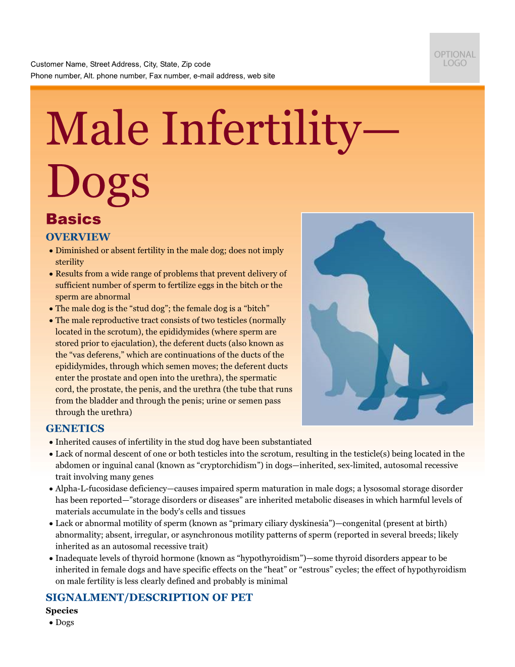 Male Infertility— Dogs