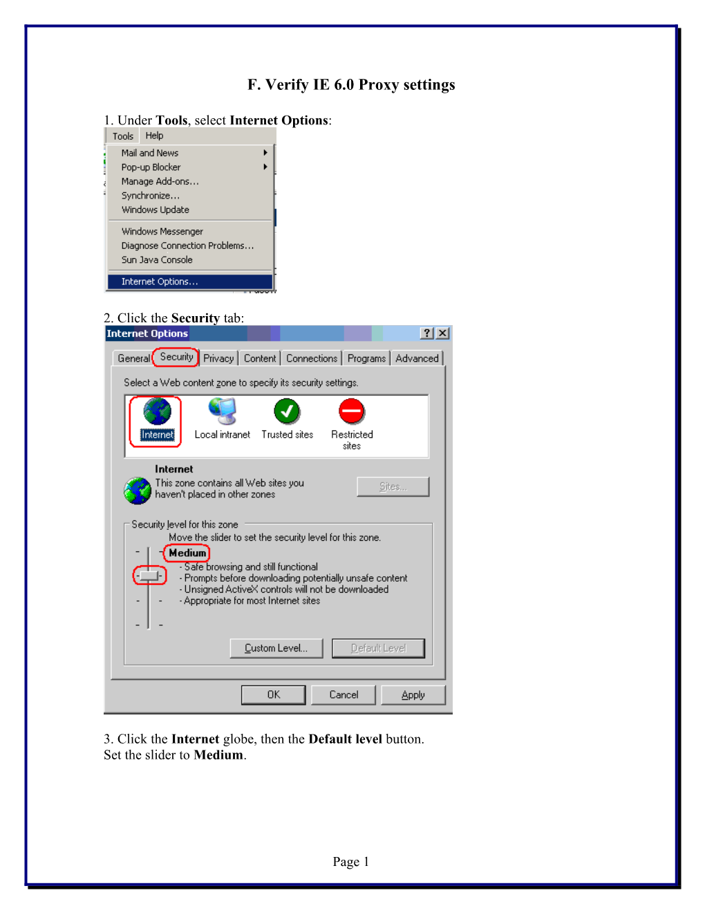 F. Verify IE 6.0 Proxy Settings