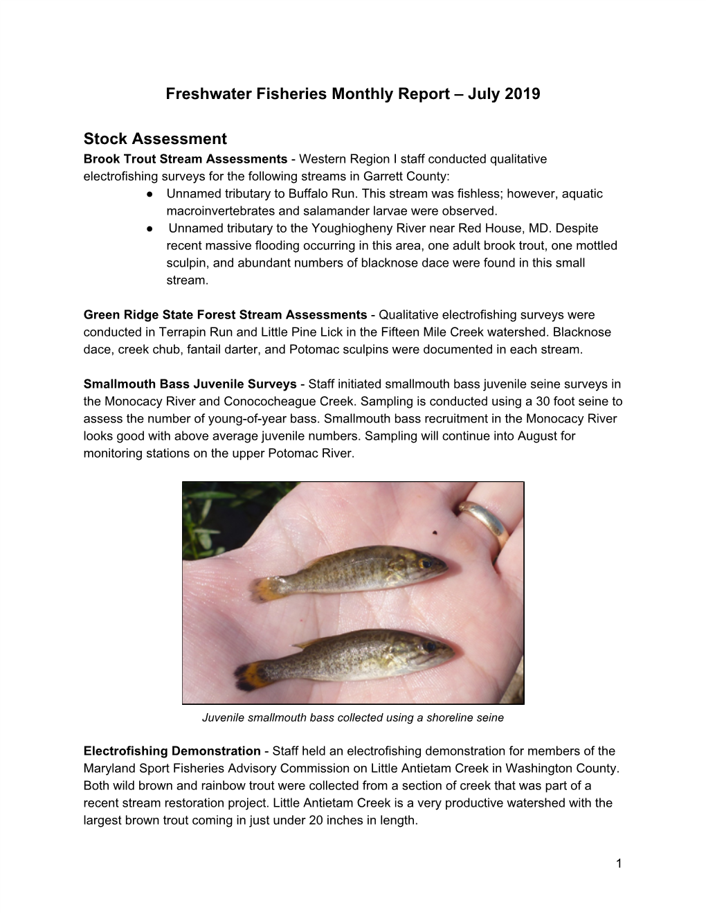 Freshwater Fisheries Monthly Report – July 2019