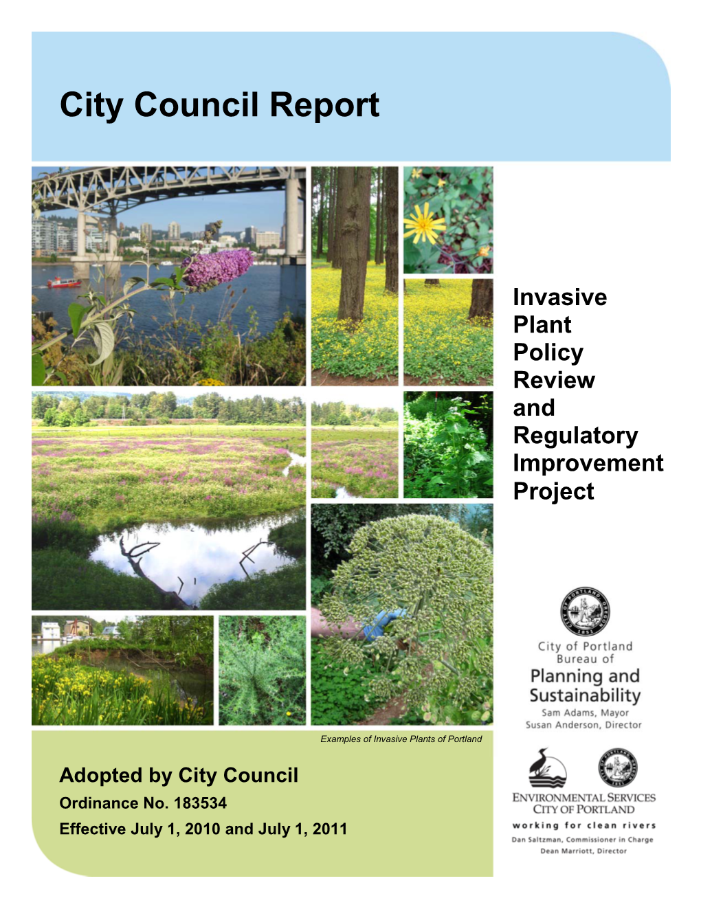 City Council Report