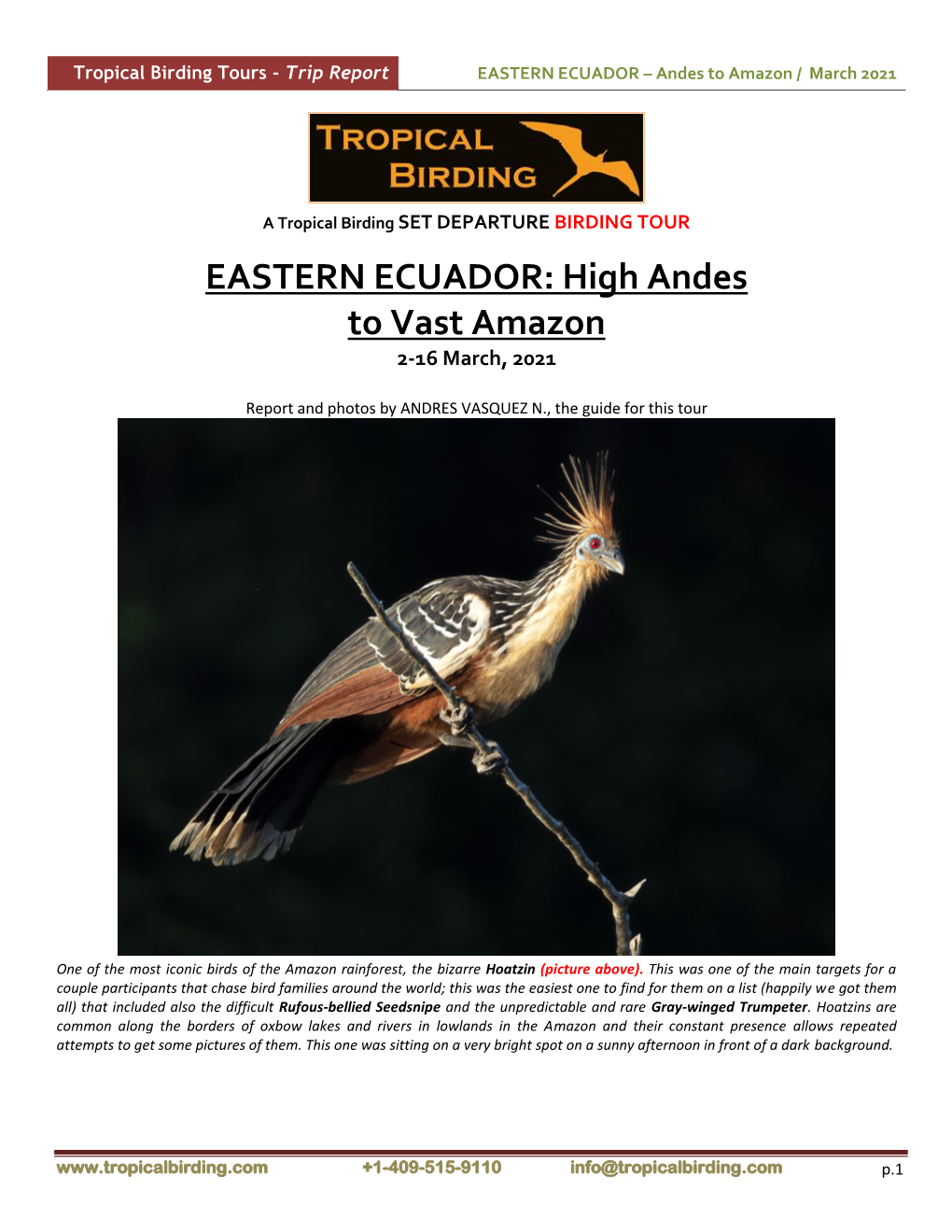 EASTERN ECUADOR – Andes to Amazon / March 2021