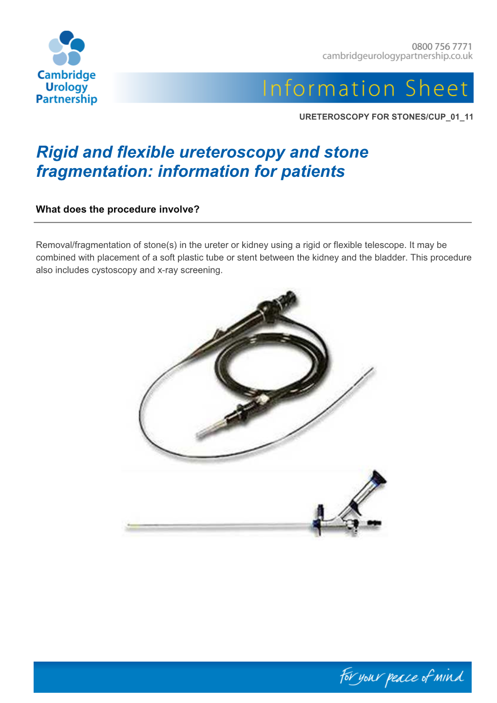 Rigid and Flexible Ureteroscopy and Stone Fragmentation: Information for Patients