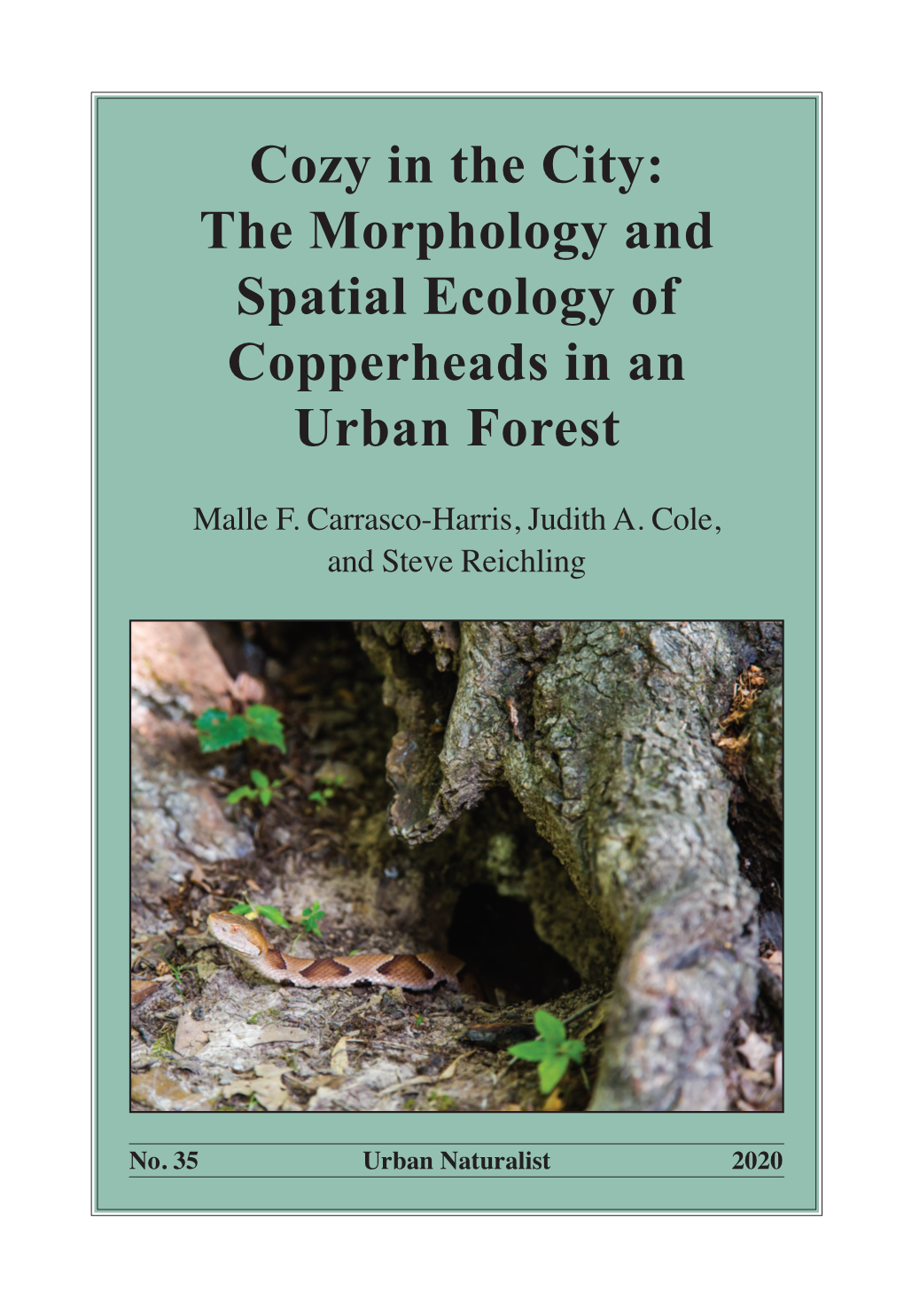 The Morphology and Spatial Ecology of Copperheads in an Urban Forest