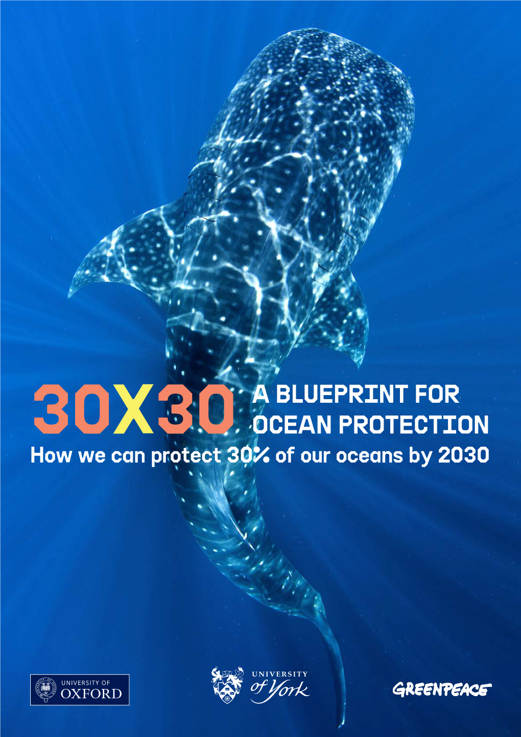 30X30 a BLUEPRINT for OCEAN PROTECTION How We Can Protect 30% of Our Oceans by 2030