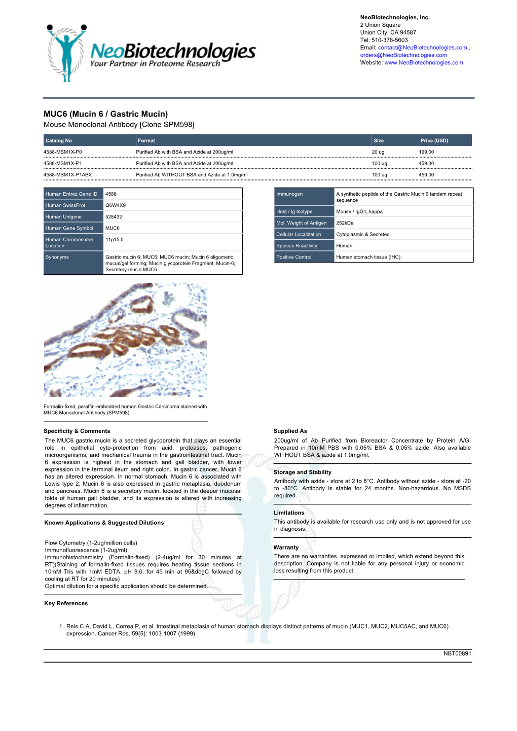 MUC6 (Mucin 6 / Gastric Mucin) Mouse Monoclonal Antibody [Clone SPM598]