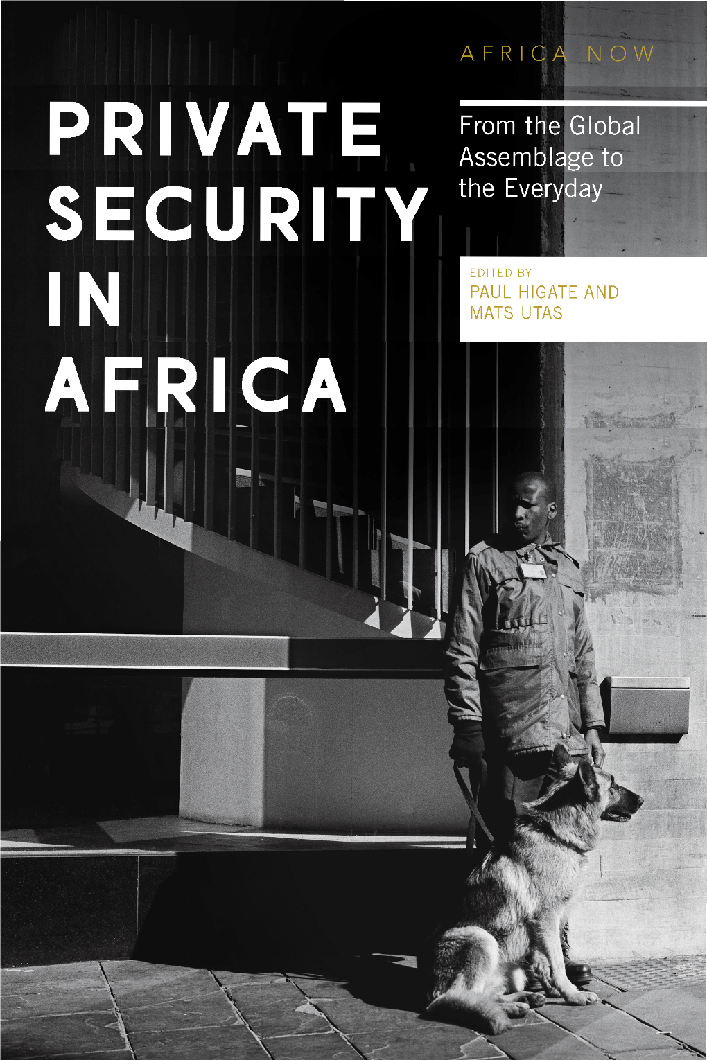 Private Security in Africa