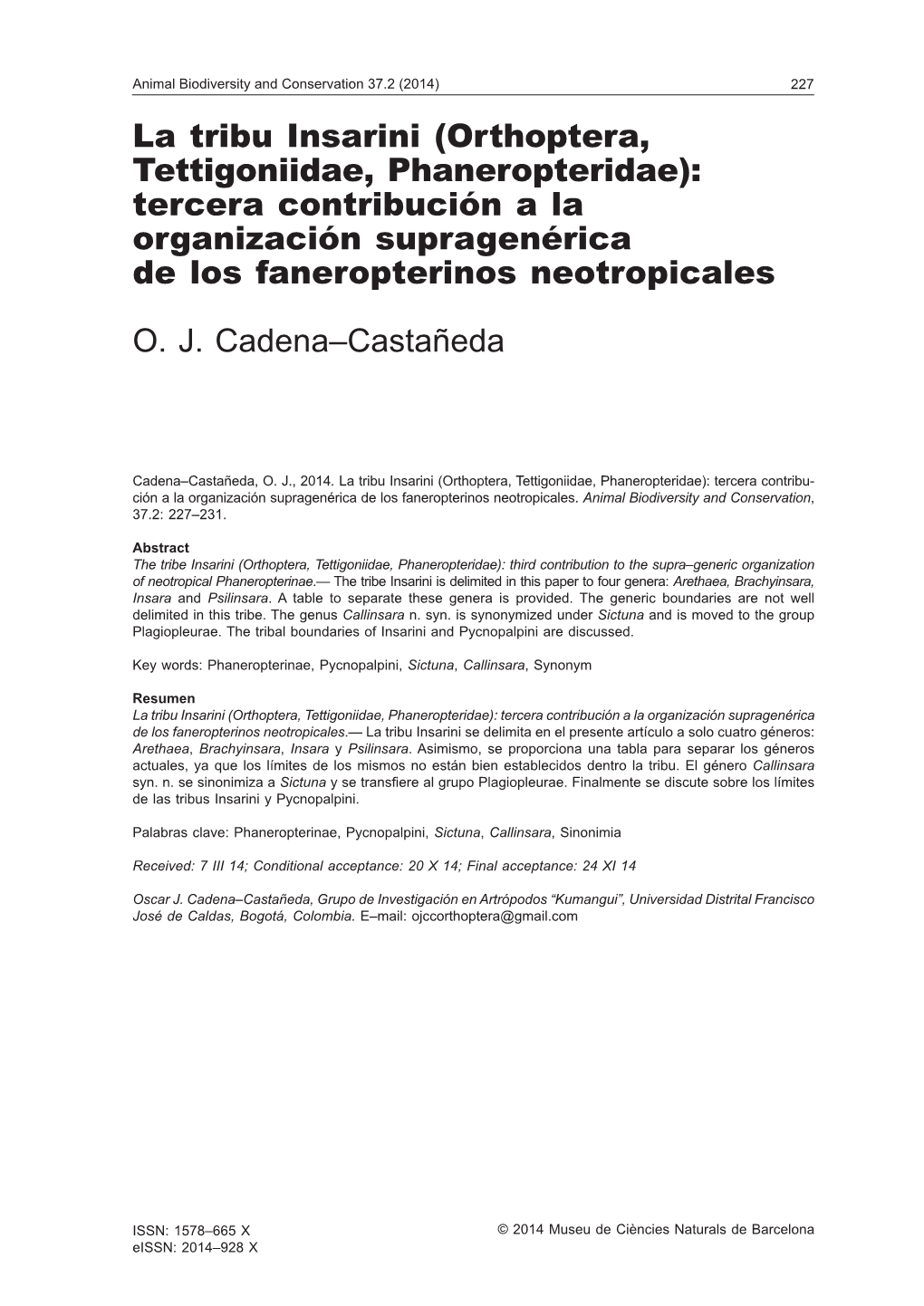 Orthoptera, Tettigoniidae, Phaneropteridae): Tercera Contribución a La Organización Supragenérica De Los Faneropterinos Neotropicales