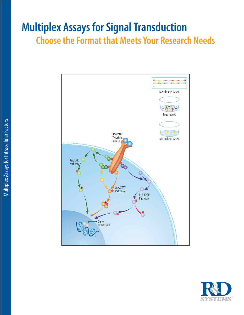 Multiplex Assays for Signal Transduction Choose the Format That Meets Your Research Needs