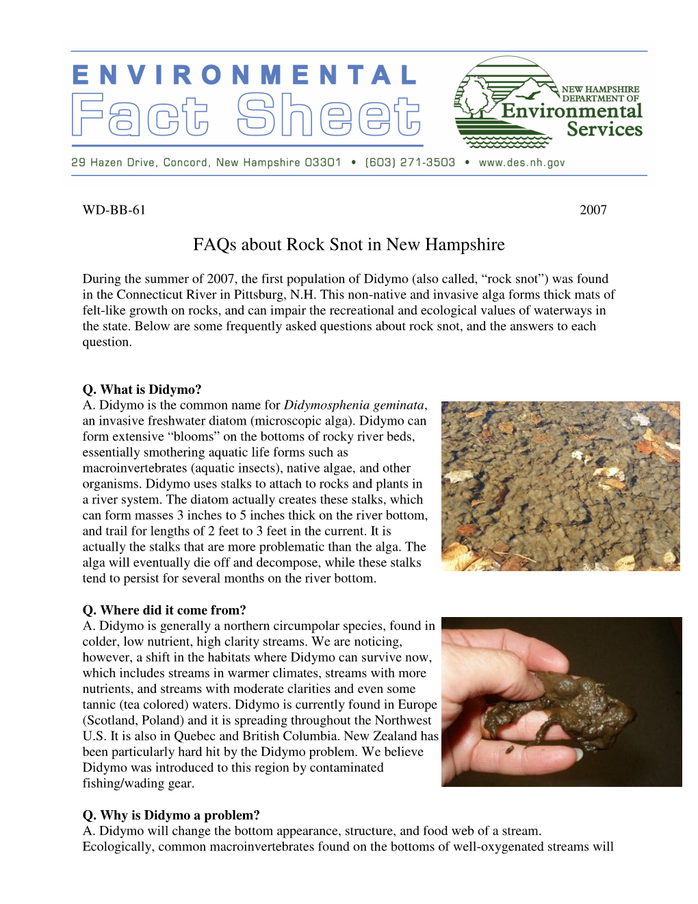 Faqs About Rock Snot in New Hampshire
