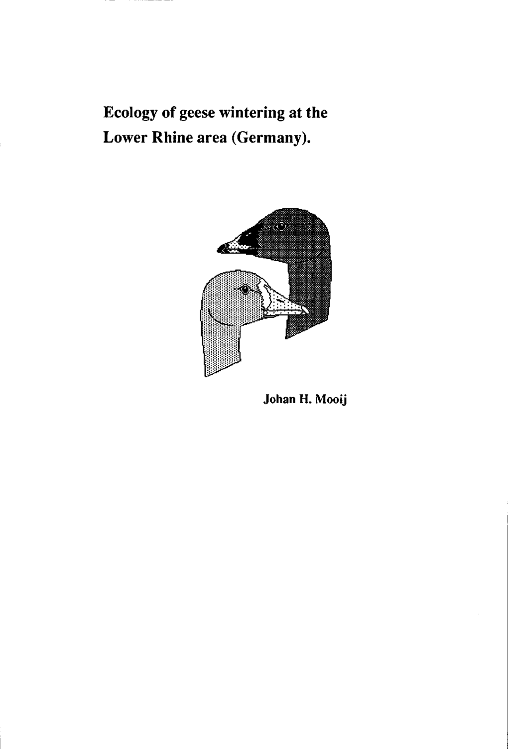 Ecology of Geese Wintering at the Lower Rhine Area (Germany)