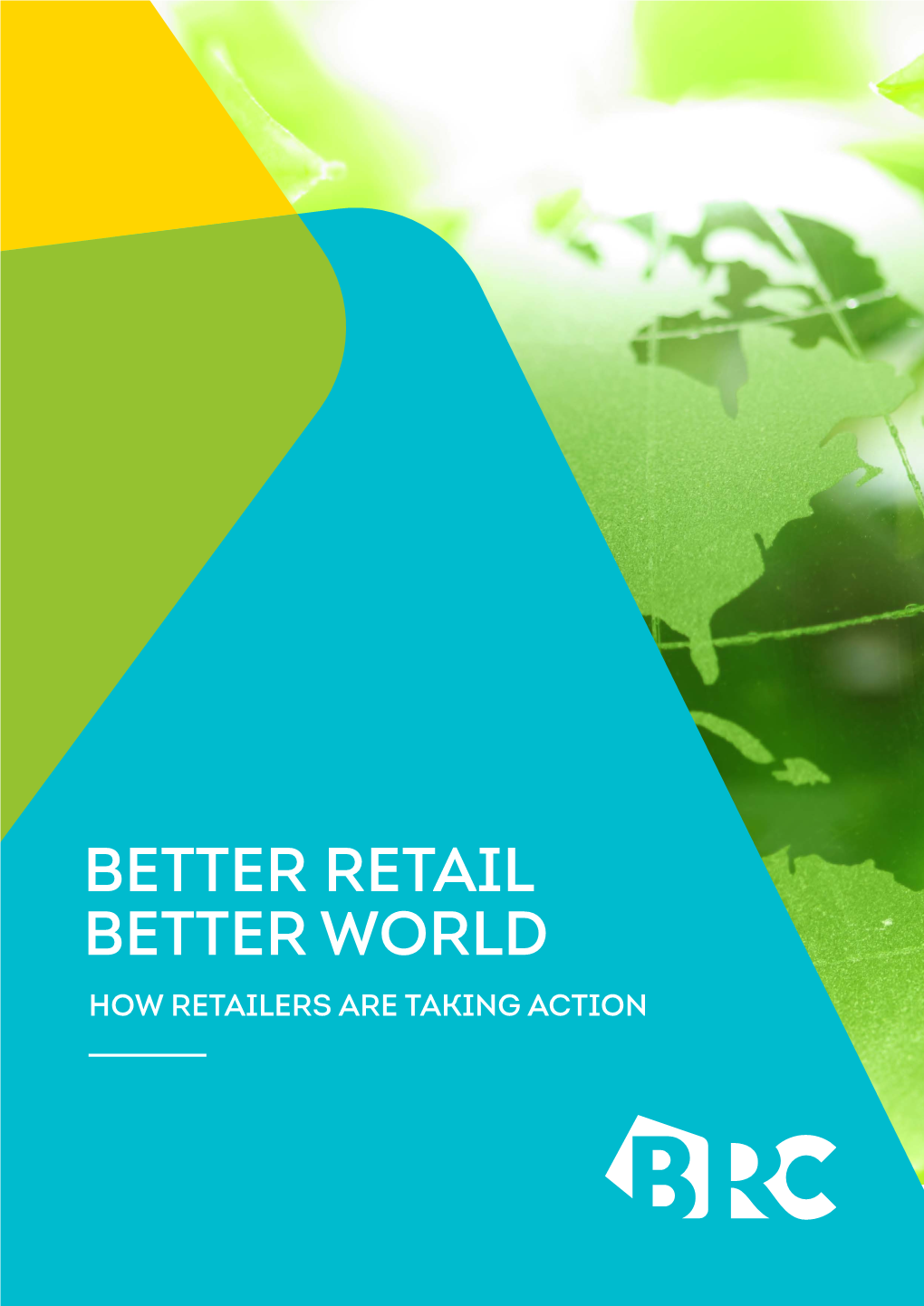 Better Retail Better World How Retailers Are Taking Action APPENDIX