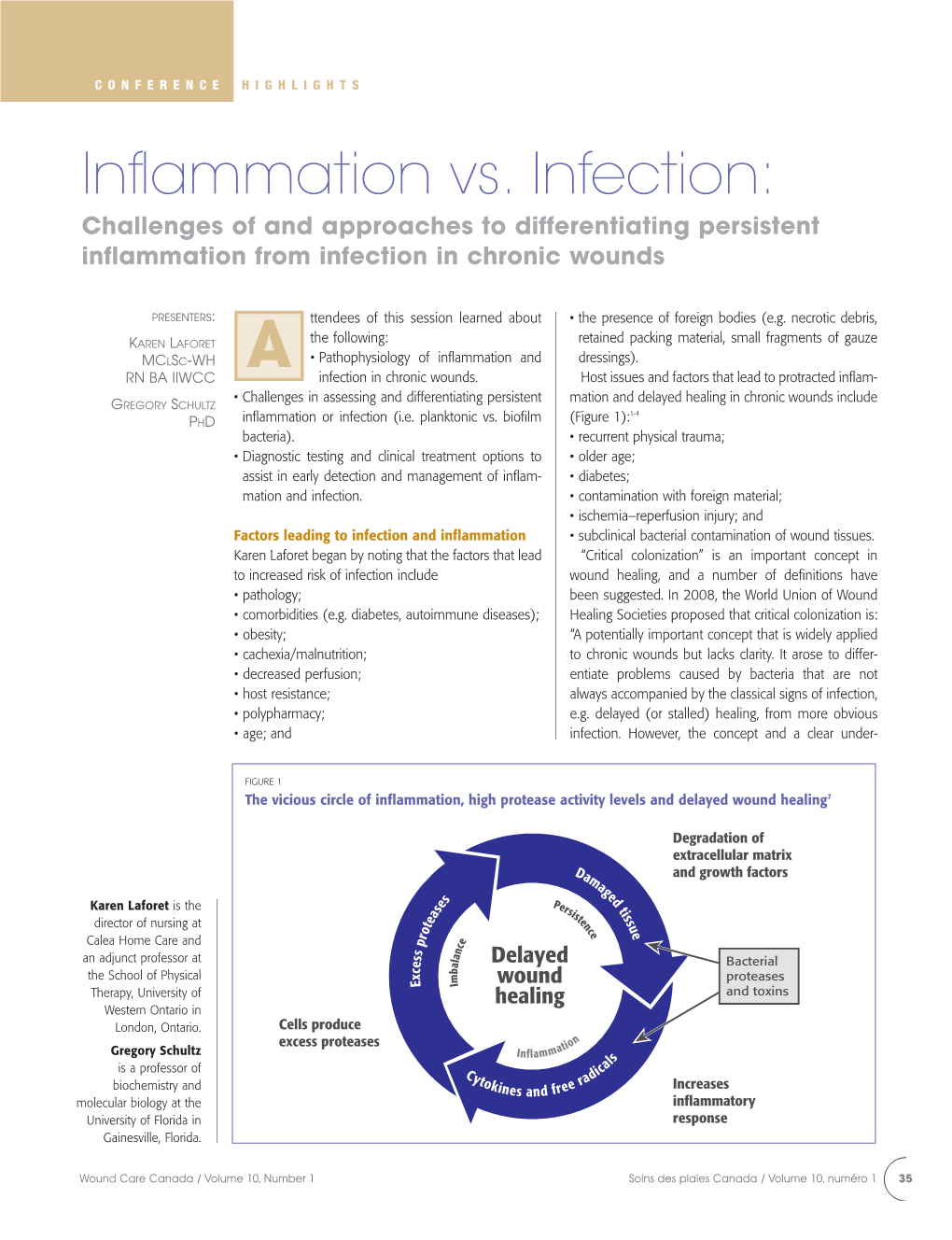 Inflammation Vs. Infection: Challenges of and Approaches to Differentiating Persistent Inflammation from Infection in Chronic Wounds