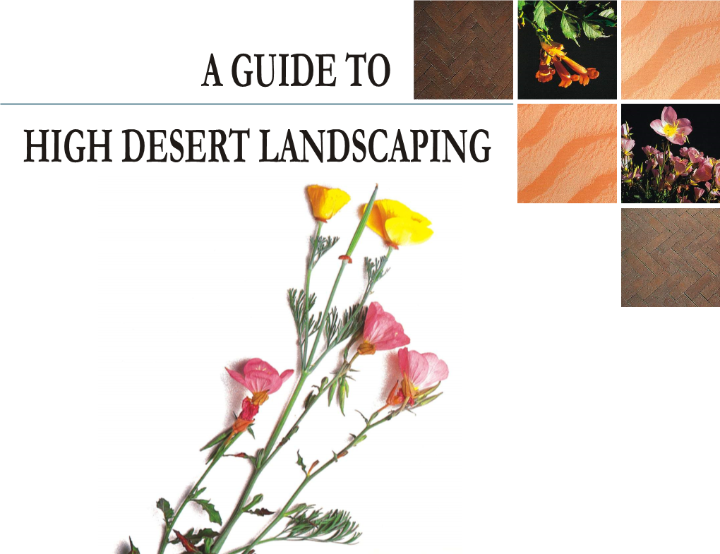 High Desert Landscaping a Guide To