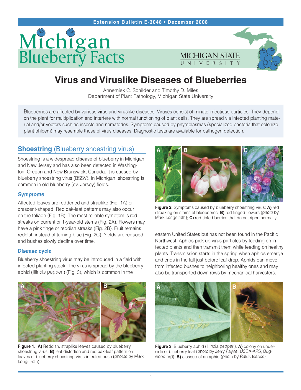 Virus and Viruslike Diseases of Blueberries Annemiek C