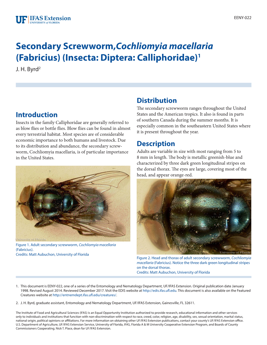 Secondary Screwworm,Cochliomyia Macellaria (Fabricius) (Insecta: Diptera: Calliphoridae)1 J