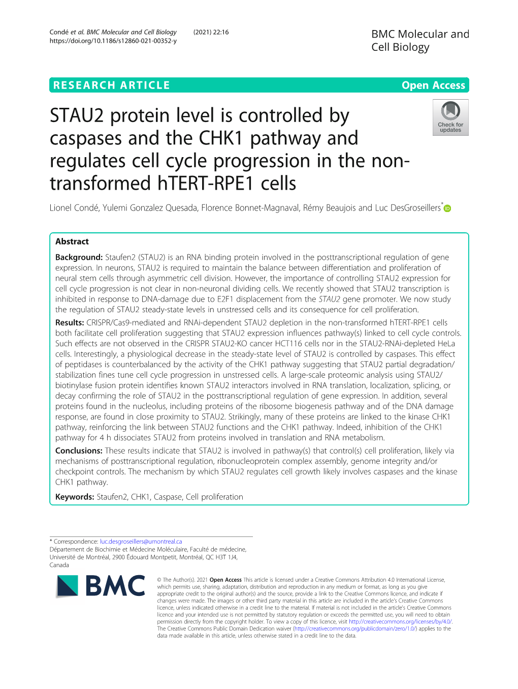 STAU2 Protein Level Is Controlled by Caspases and the CHK1 Pathway