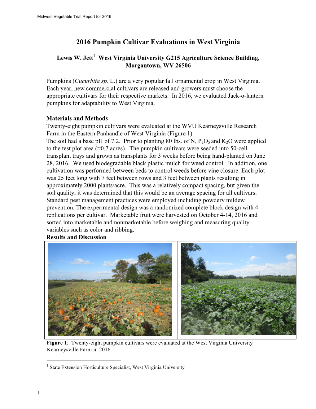 Pumpkin Cultivar Evaluations in West Virginia2016-Edit