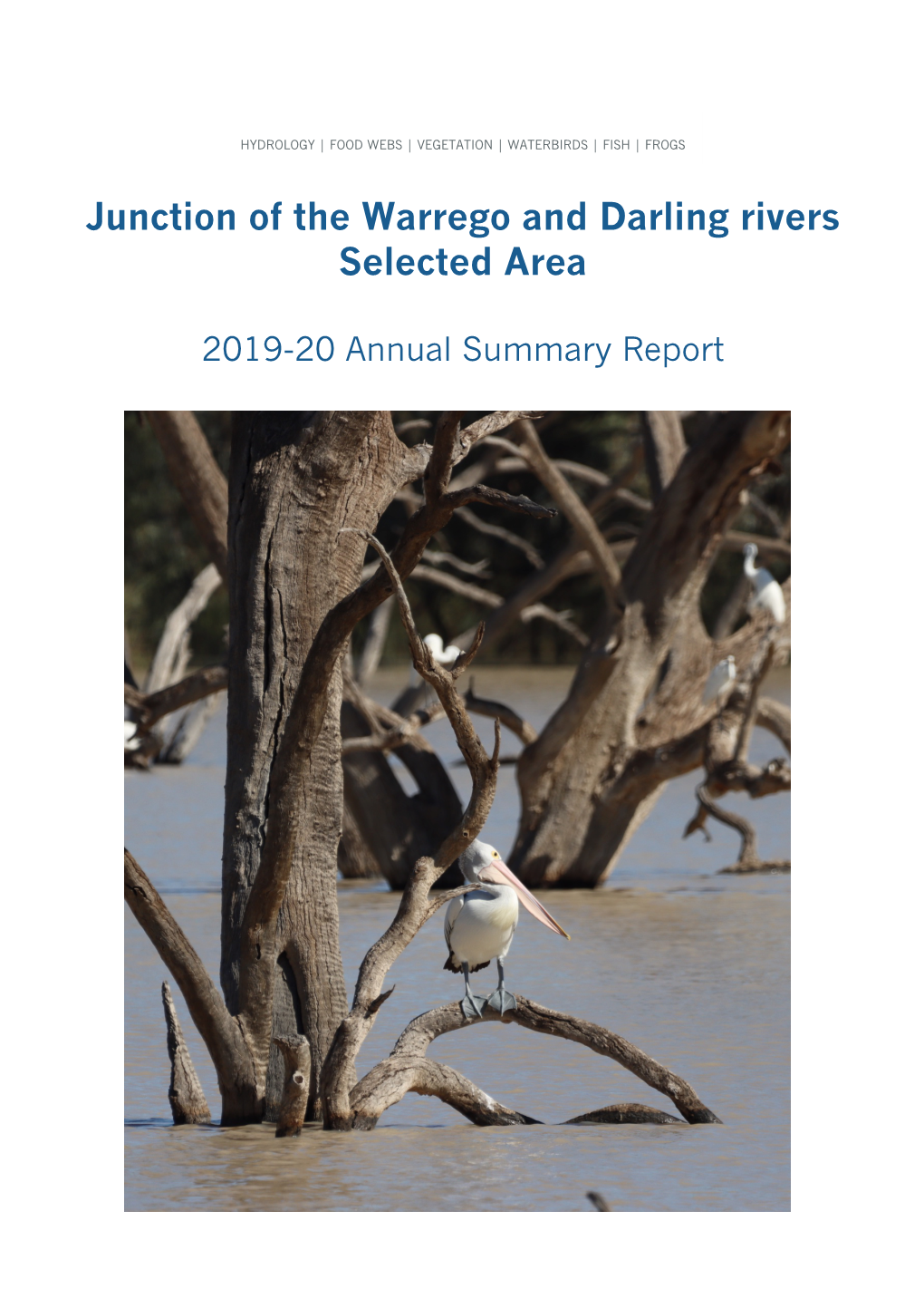 Junction of the Warrego and Darling Rivers Selected Area 2019-20