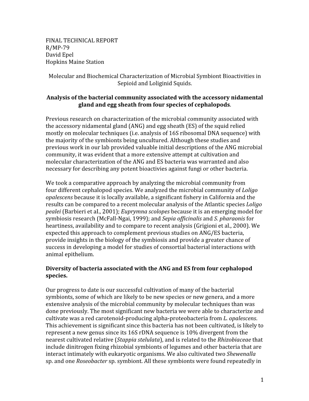 Molecular and Biochemical Characterization of Microbial Symbiont Bioactivities in Sepioid and Loliginid Squids